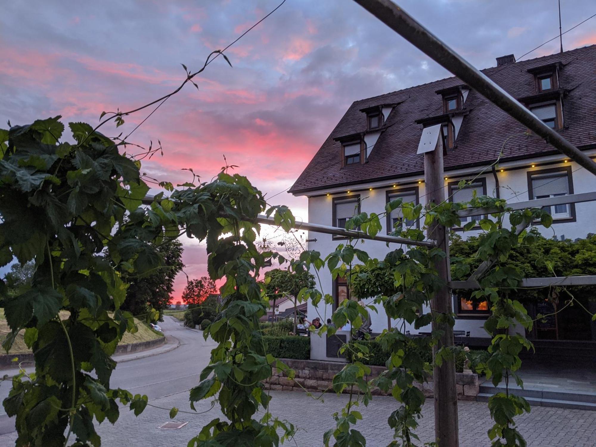 Brauereigasthof Adler Oberstadion Buitenkant foto